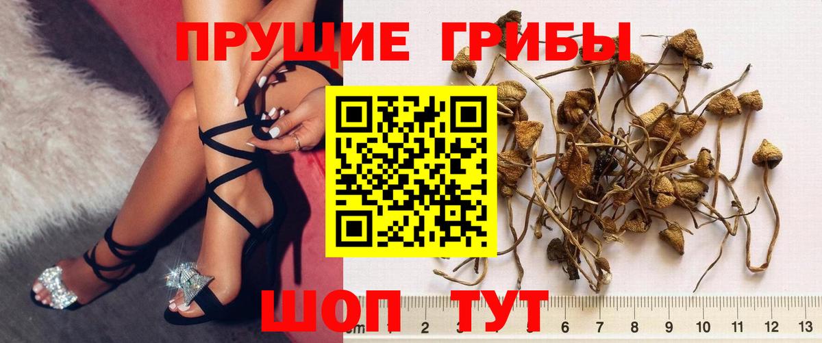Галлюциногенные грибы мицелий  Вход с VPN  Миасс 